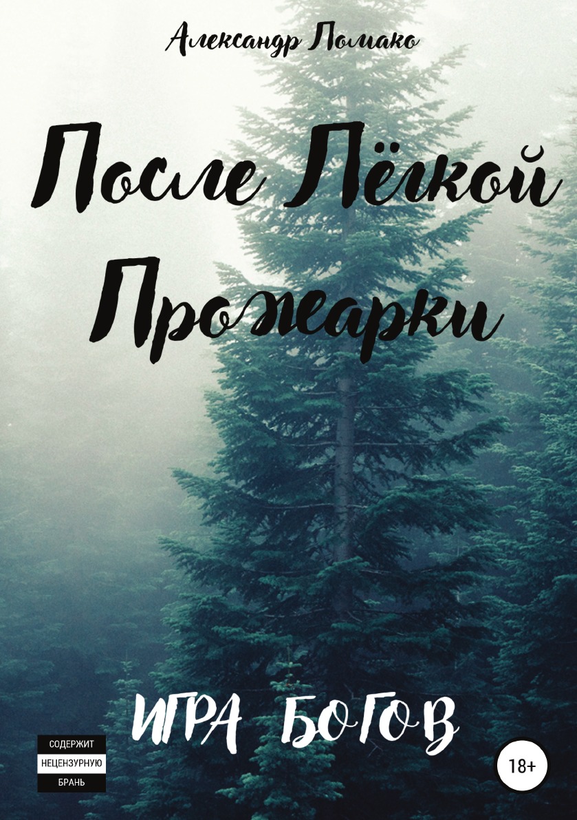 

Книга После Лёгкой Прожарки: игра богов