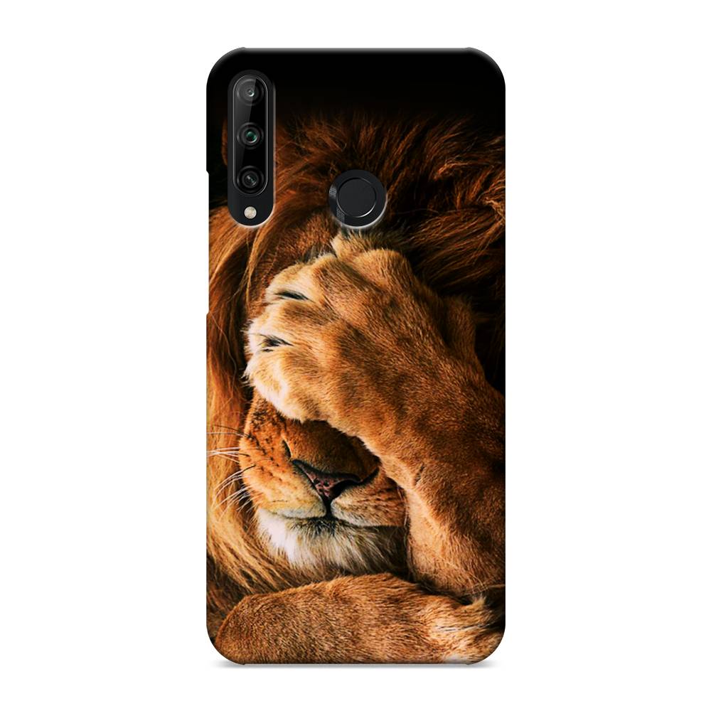 

Чехол Awog "Львиный стыд" для Honor 9C, 612520-1