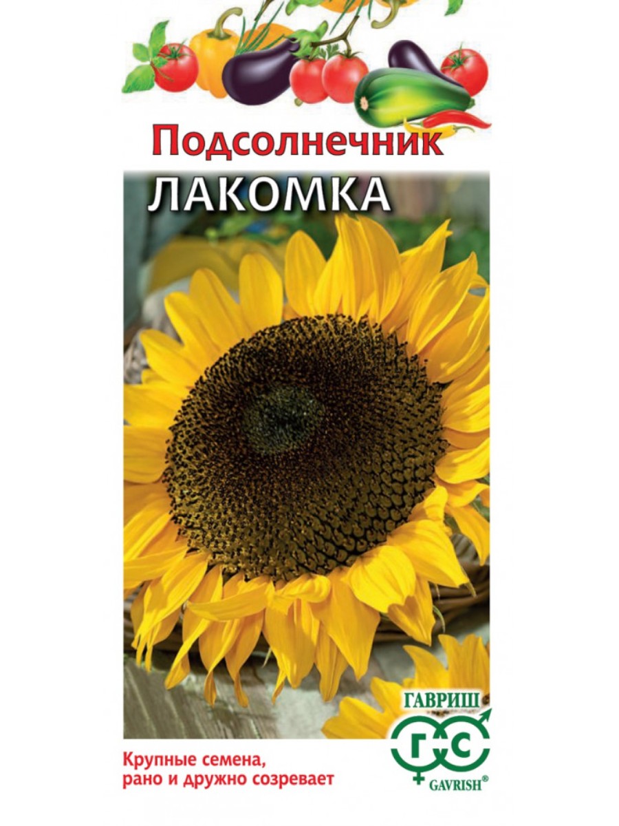 

Семена Гавриш Подсолнечник Лакомка 10 упаковок по 10 гр.