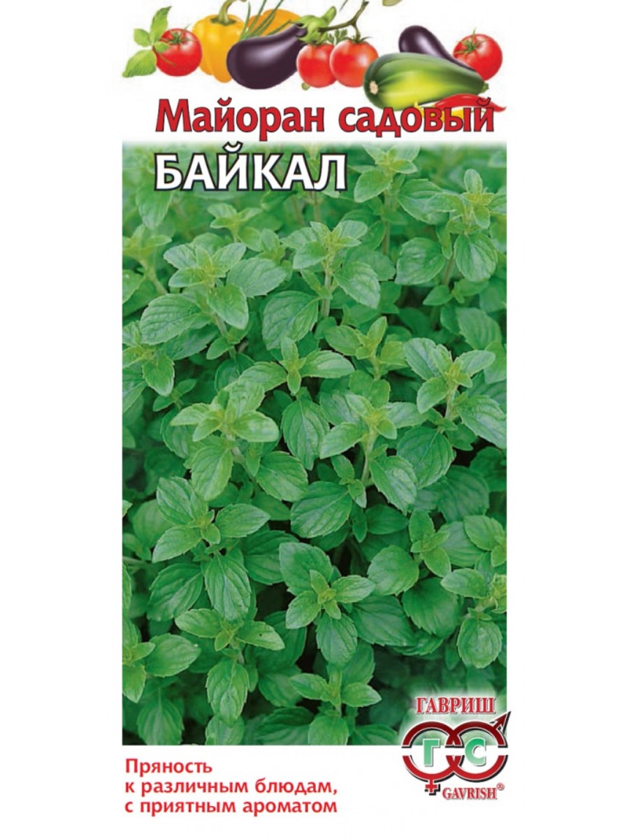 

Семена майоран садовый Байкал Гавриш 001154-10 10 уп.