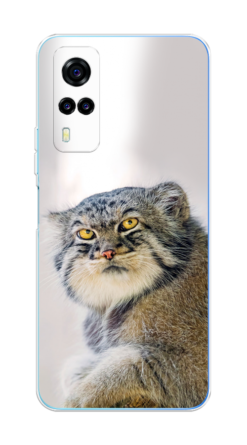 

Чехол на Vivo Y31/Y53s 4G "Кот манул 1", Серый;белый;желтый, 263750-1