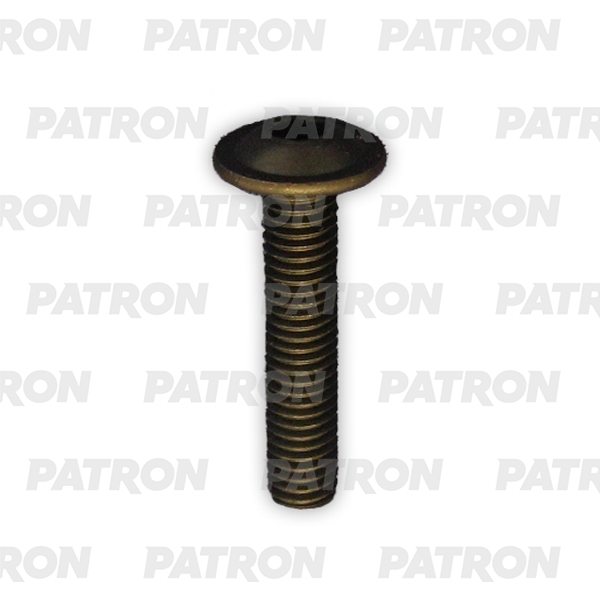 

PATRON P37-3217T Болт металлический с внутренним шестигранником, черный M6X25 10шт