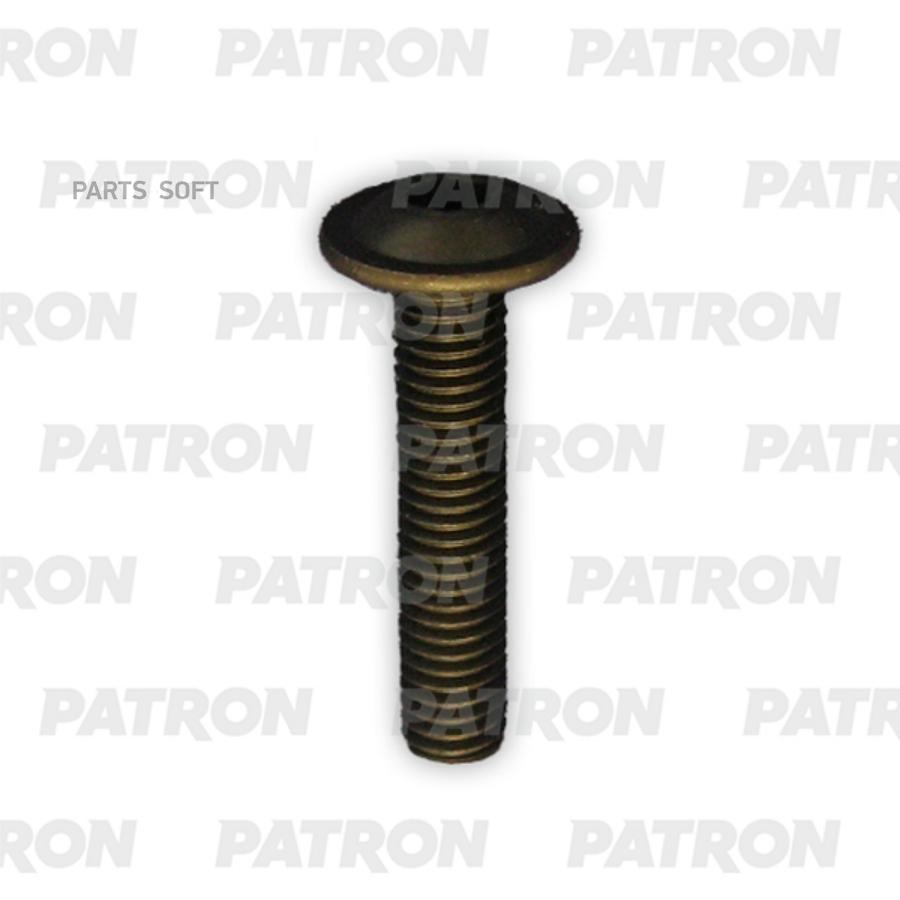 PATRON P37-3209T Болт металлический с внутренним шестигранником, черный M5X16  10шт