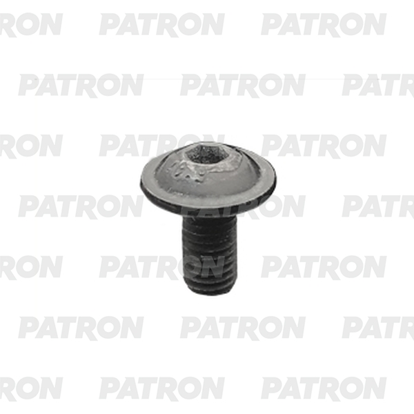 PATRON P37-3208T Болт металлический с внутренним шестигранником, черный M5X10  10шт