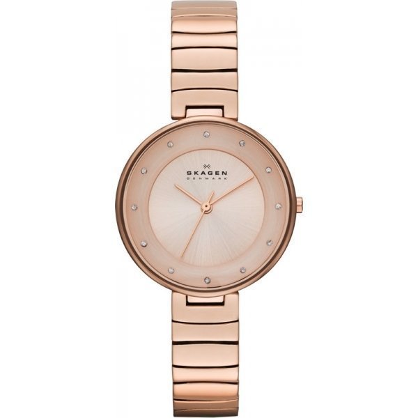 

Наручные часы Skagen Links SKW2227