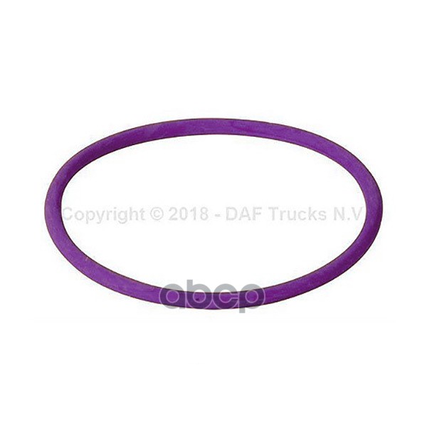 

DAF 1664754 кольцо уплотнительное топливного насоса! d45mm (р)\ DAF CF85/XF105 1шт