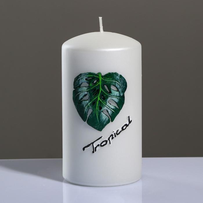 фото Свеча - цилиндр tropical, 8×15 см, жемчужный белый trend decor candle