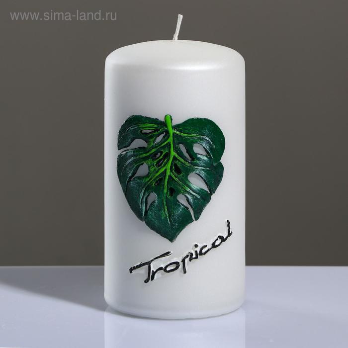 фото Свеча - цилиндр tropical, 7×13 см, жемчужный белый trend decor candle