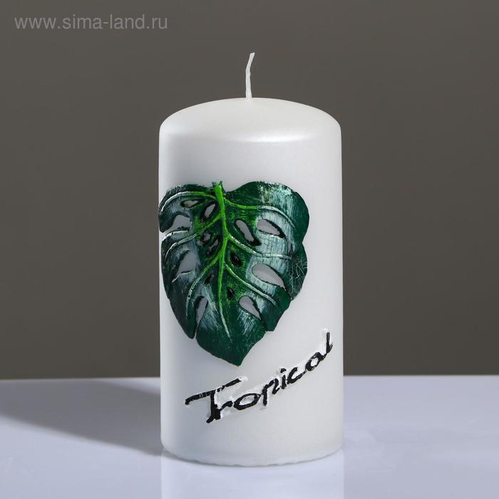 фото Свеча - цилиндр tropical, 6×11,5 см, жемчужный белый trend decor candle