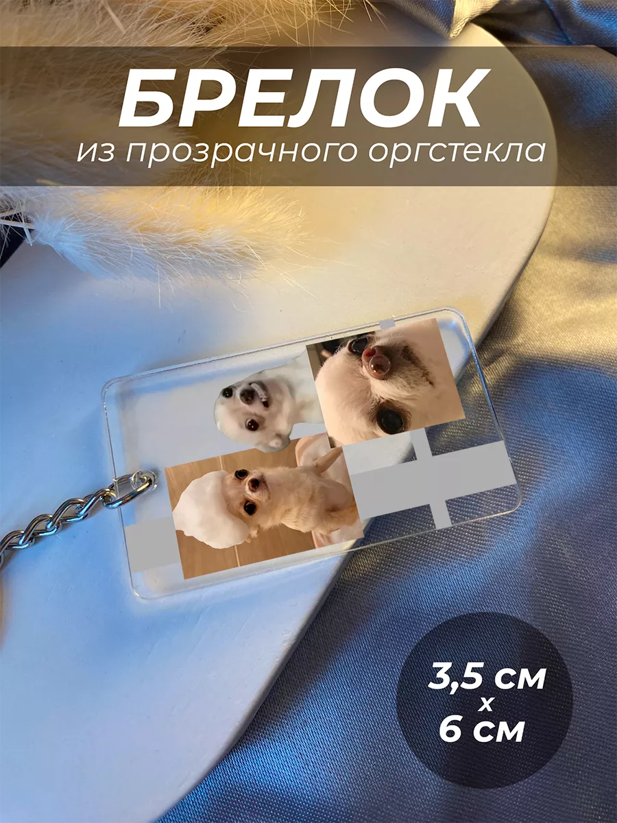 

Брелок унисекс IREVIVE Чихуа серебристый, Чихуа