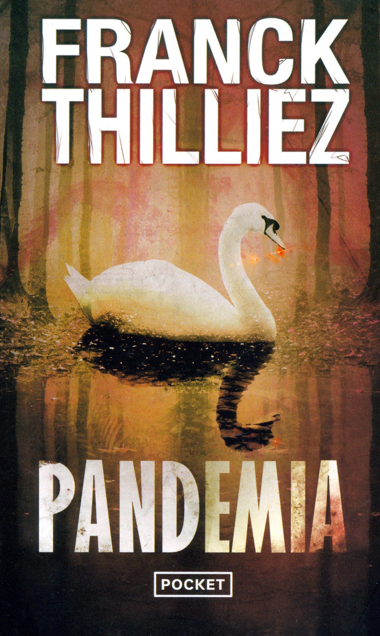 

Pandemia