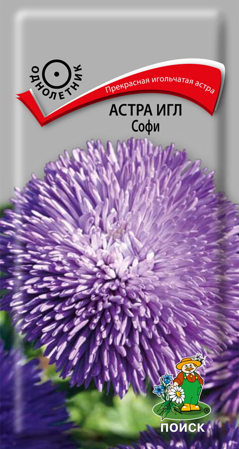 

Семена астра Поиск Игл софи 1 уп.