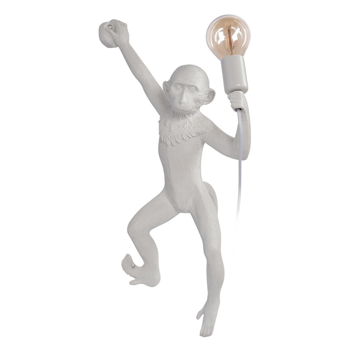 

Настенный светильник Loft IT Monkey 10314W/B, Monkey