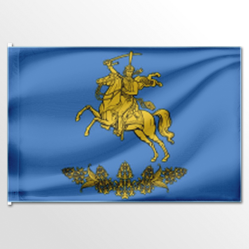 

Флаг ЦТП ФЕНИКС Оржицкого сельского поселения 135x90 см, 6494-135x90