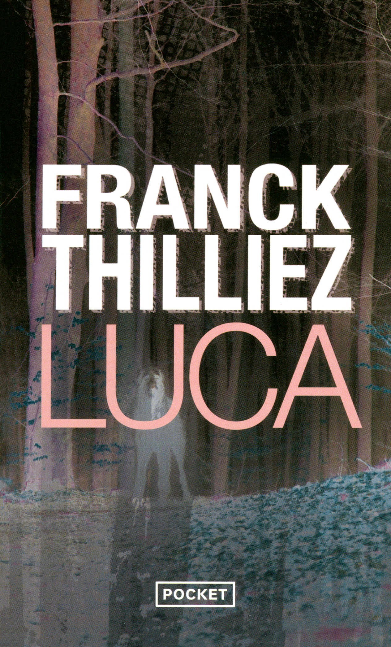 

Luca