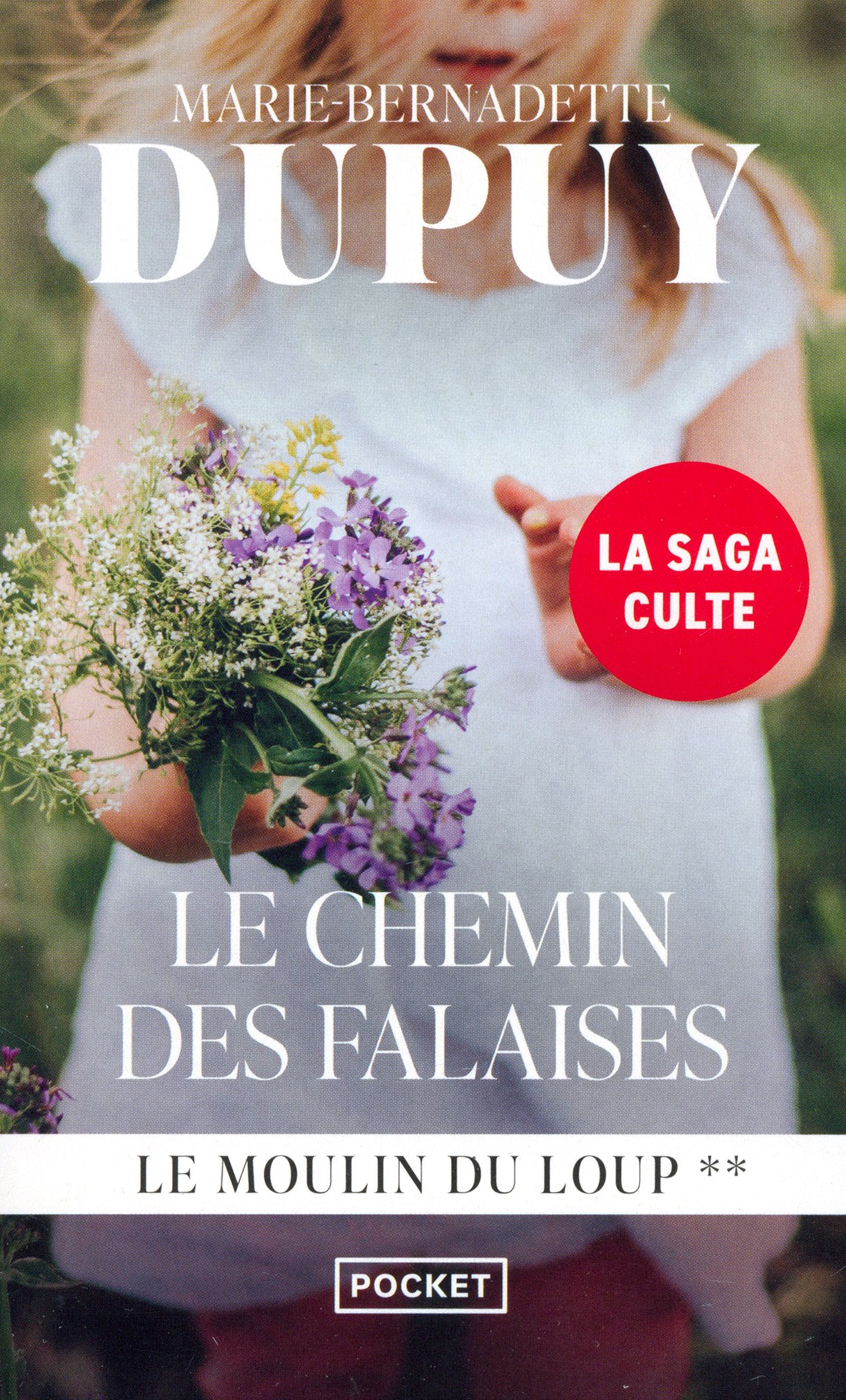 

Le Chemin des Falaises