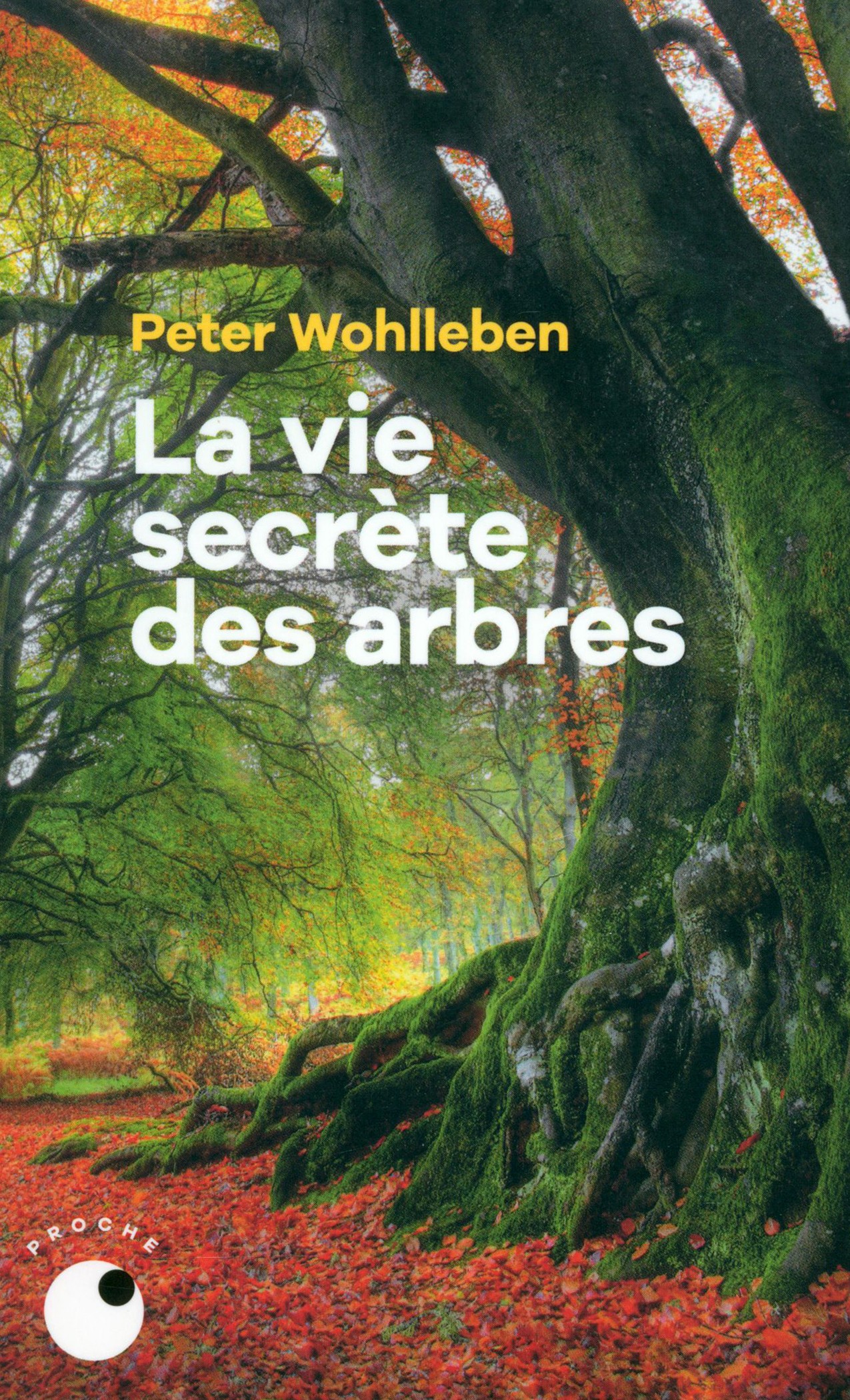 

La vie secrte des arbres