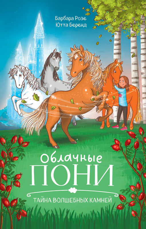 

Облачные пони, Тайна волшебных камней
