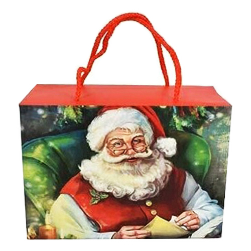 Пакет подарочный Due Esse Christmas Дед Мороз 27 x 20 x 13 см в ассортименте 129₽