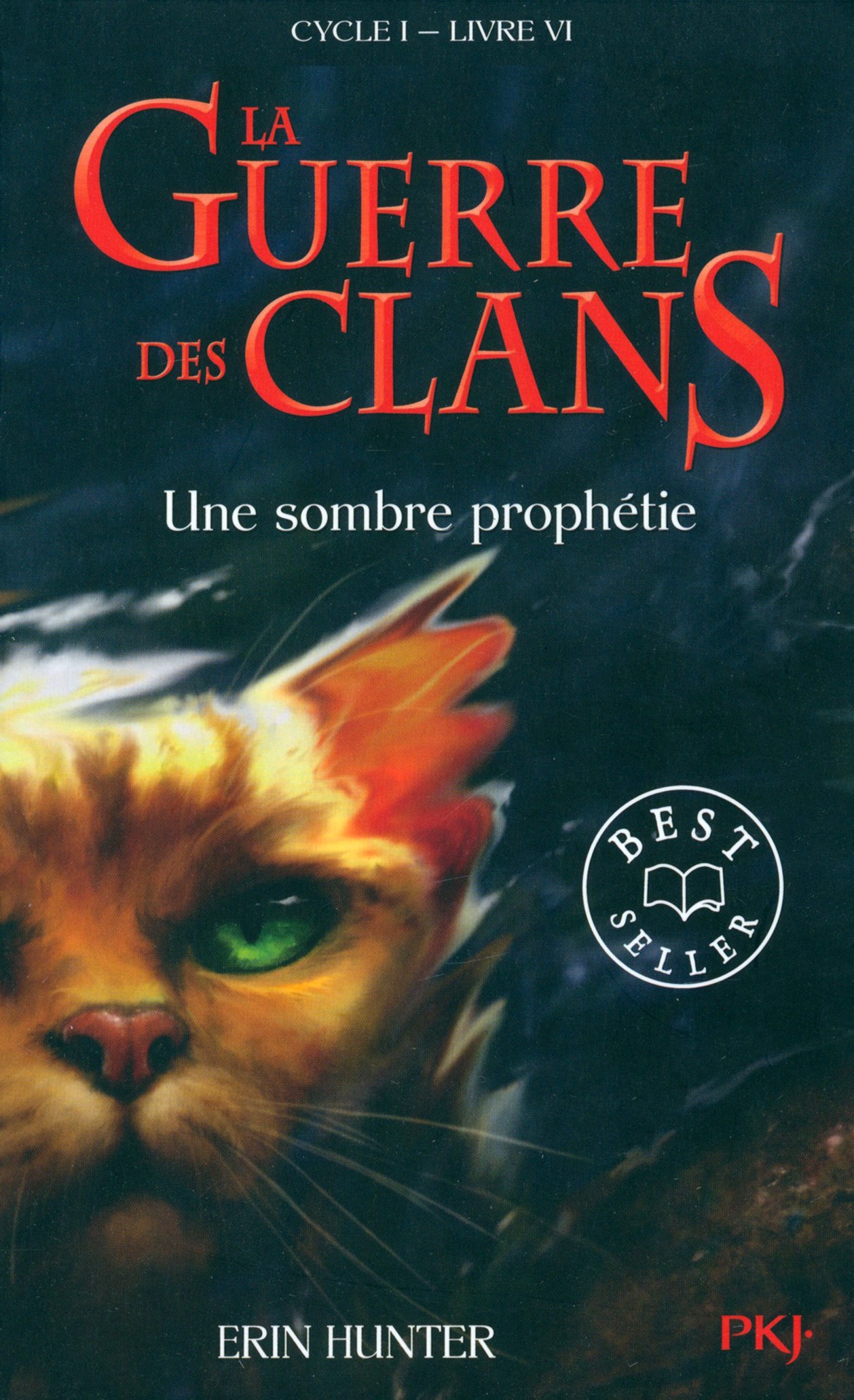 

La Guerre des Clans Cycle 1 Tome 6 Une sombre prophtie