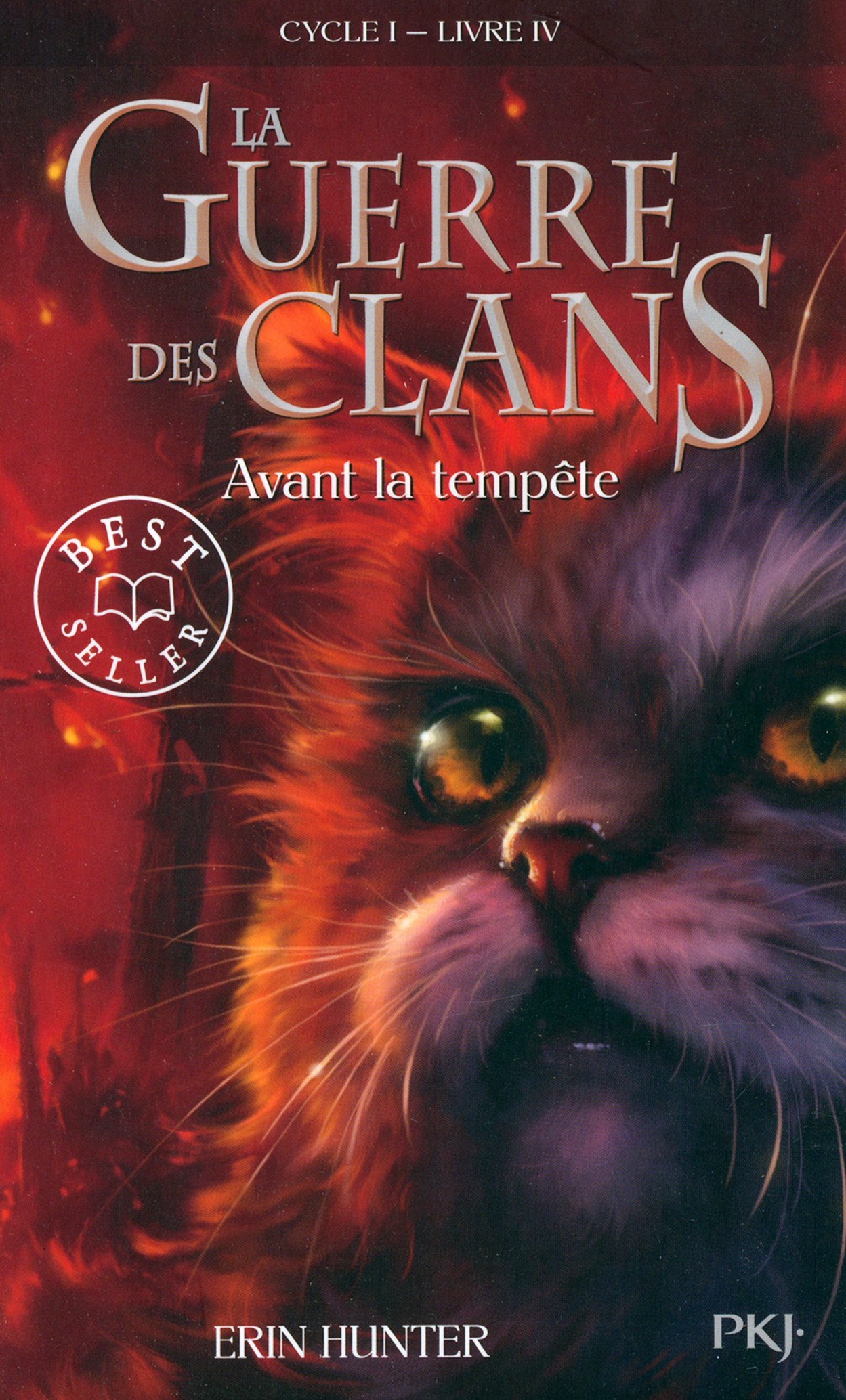 

La Guerre des Clans Cycle 1 Tome 4 Avant la tempte