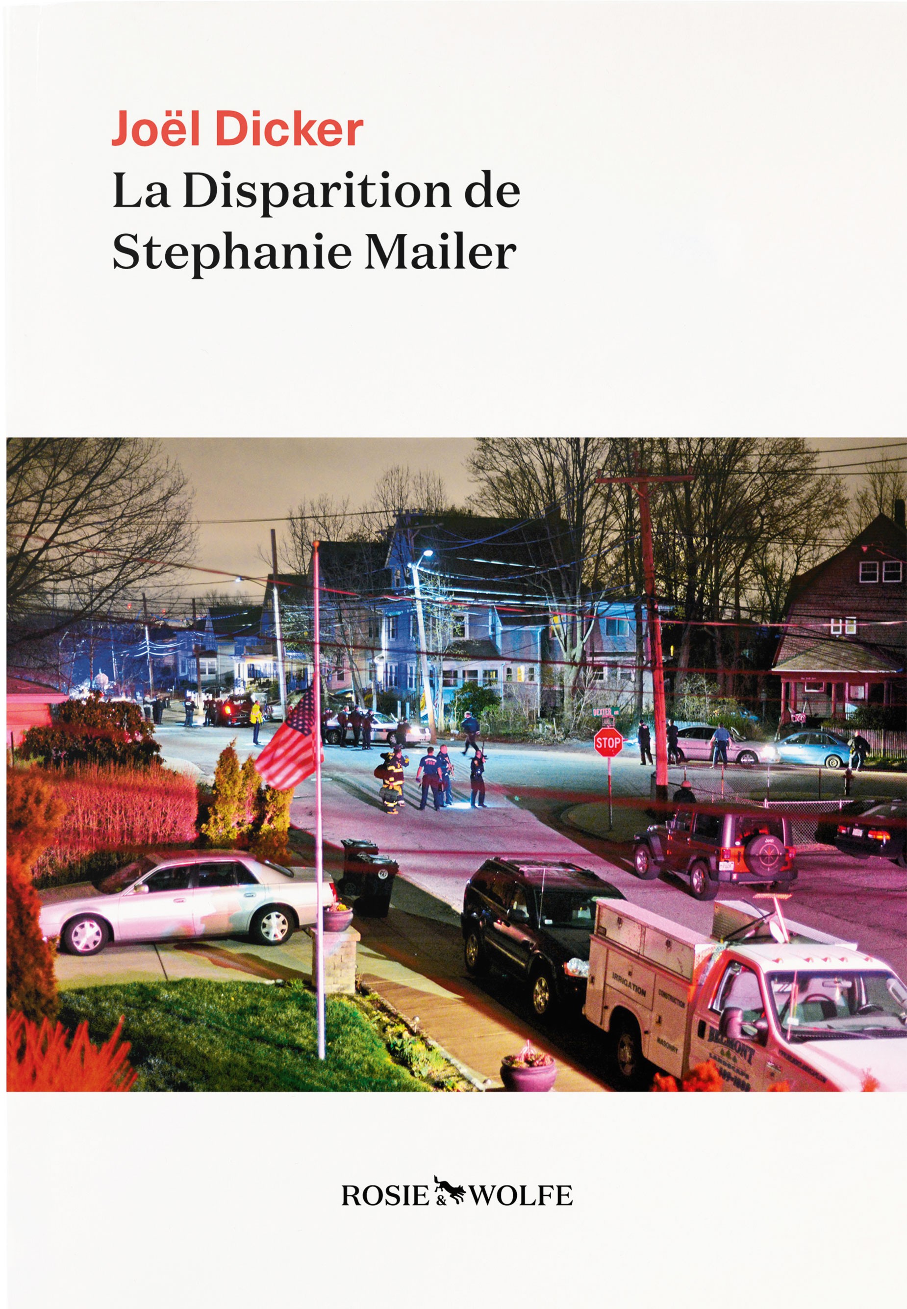 

La disparition de Stephanie Mailer