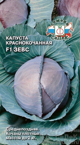

Семена капуста Зевс F1 СеДеК 1 уп.