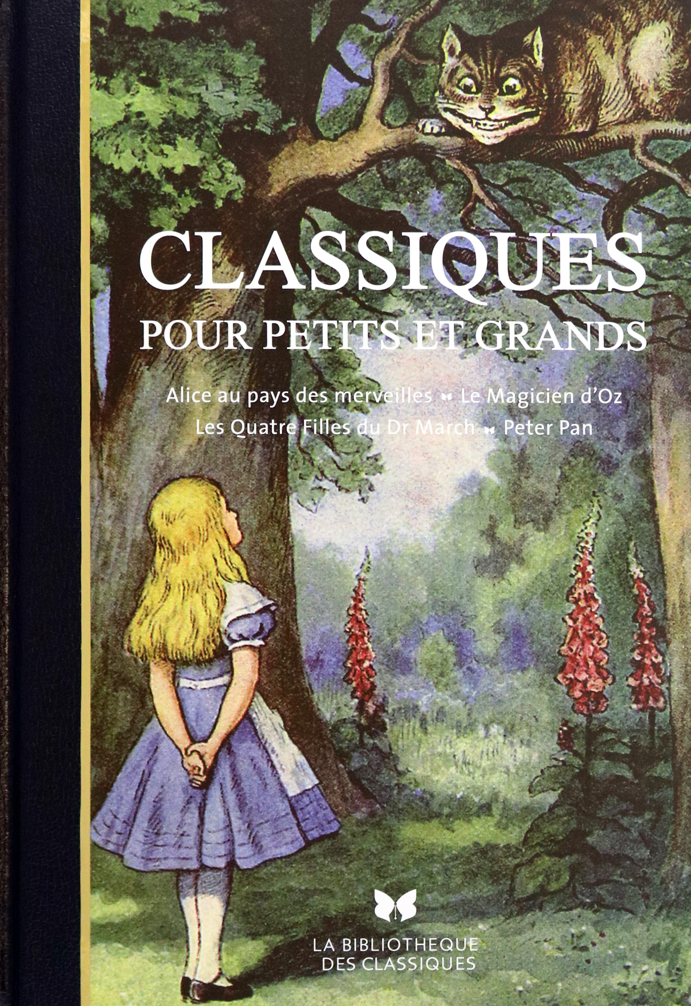 

Classiques pour petits et grands Alice au pays des merveilles