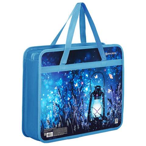 

Папка Brauberg 270867 на молнии с ручками 3 штуки, Разноцветный, 2708