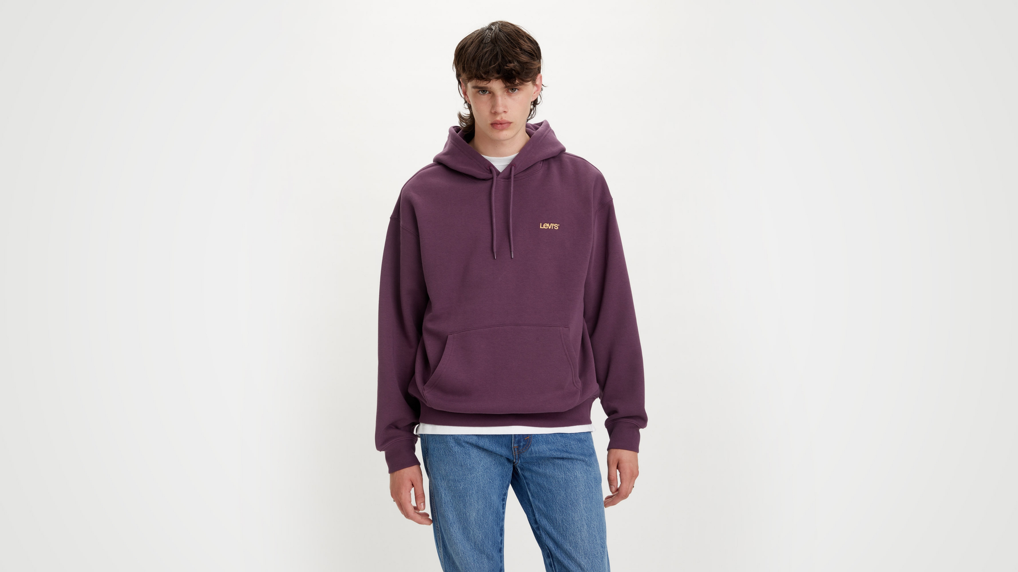 

Худи мужское Levi's A2635-0010 фиолетовое S, Фиолетовый, A2635-0010