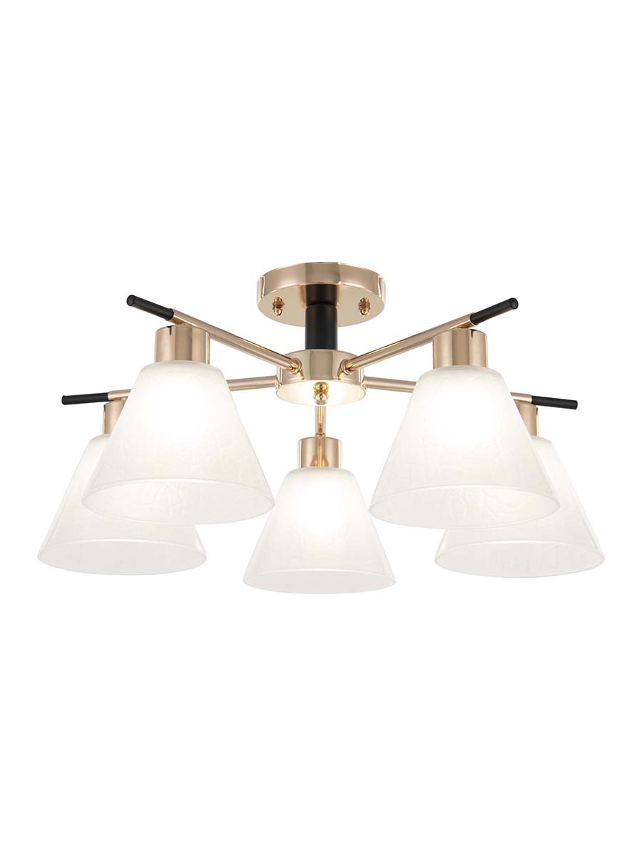 

Потолочная люстра Arte Perfetto Luce 333202235FGBK 5хE27х40W
