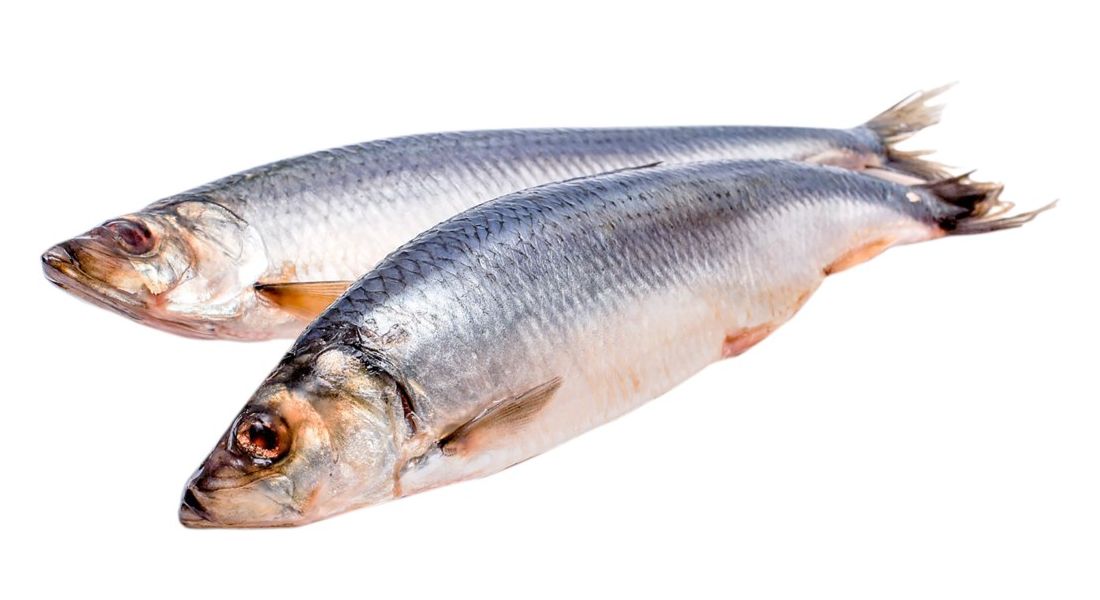 

Сельдь свежемороженая непотрошеная с головой тушка +-550 г