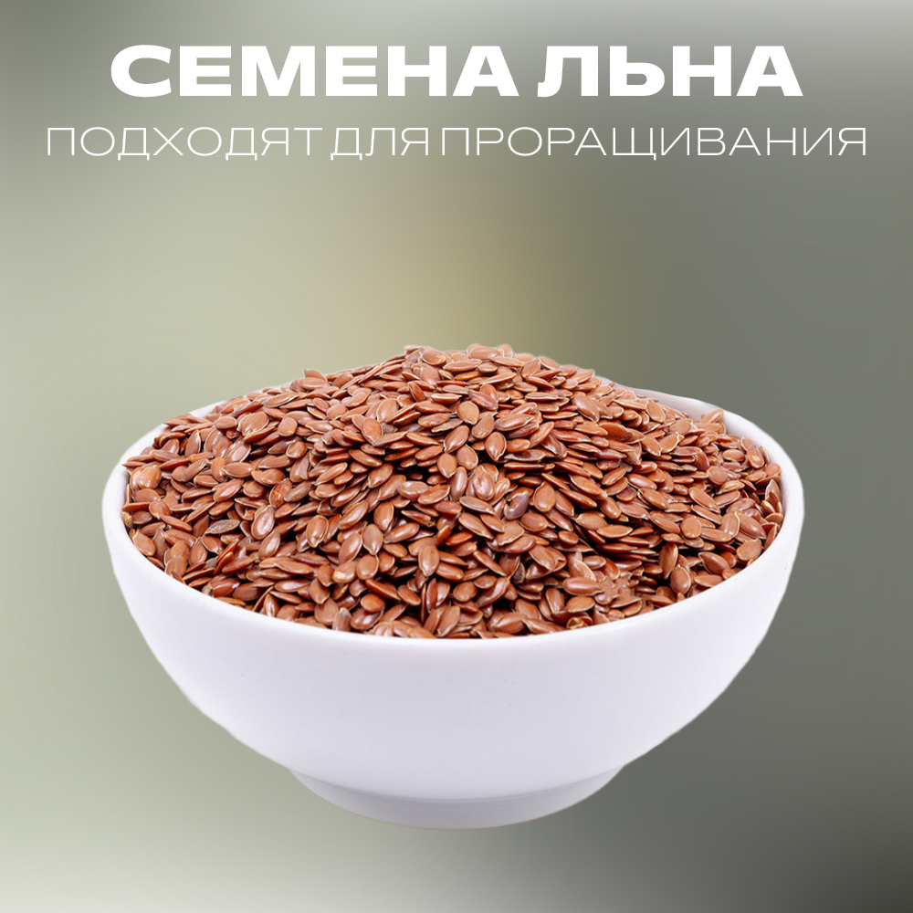 

Семена льна Терем Здравия натуральные подходят для проращивания, 1 кг, Семена льна