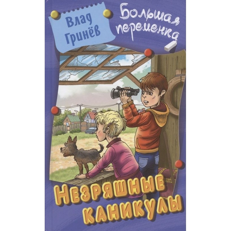 

Книжный Дом Незряшные каникулы., Незряшные каникулы. 2023 год, Гринев В.