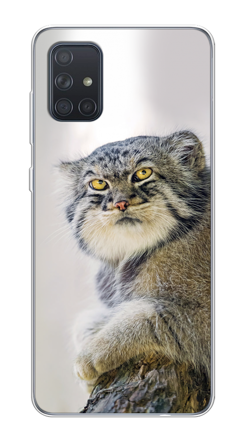

Чехол на Samsung Galaxy A71 4G "Кот манул 1", Серый;белый;желтый, 29050-1
