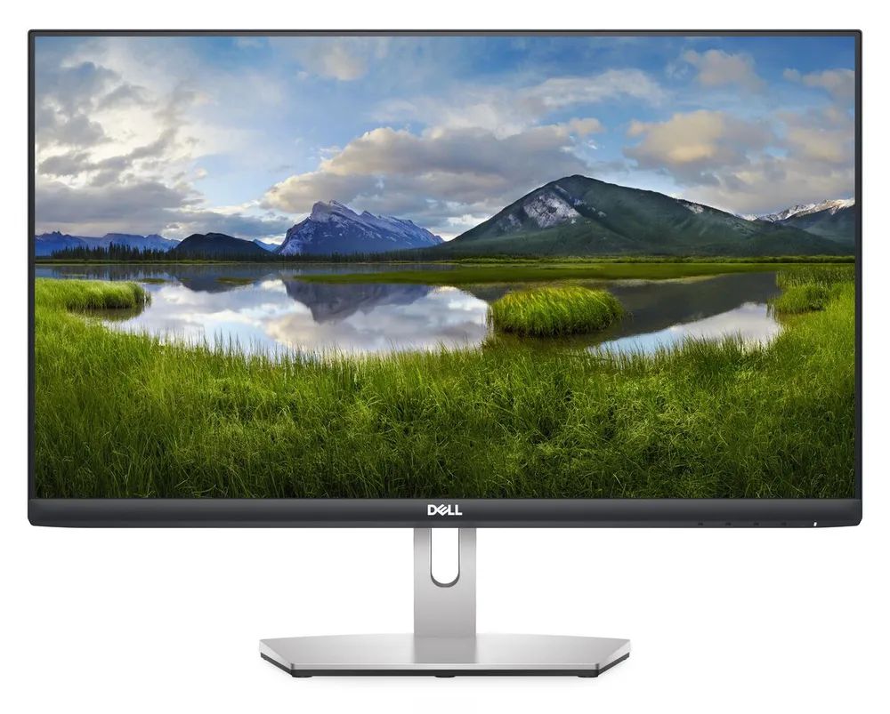 

23.8" Монитор Dell S2421HN Silver 75Hz 1920x1080 IPS, Серебристый, S2421HN