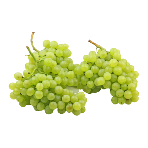 

Виноград Кишмиш зеленый
