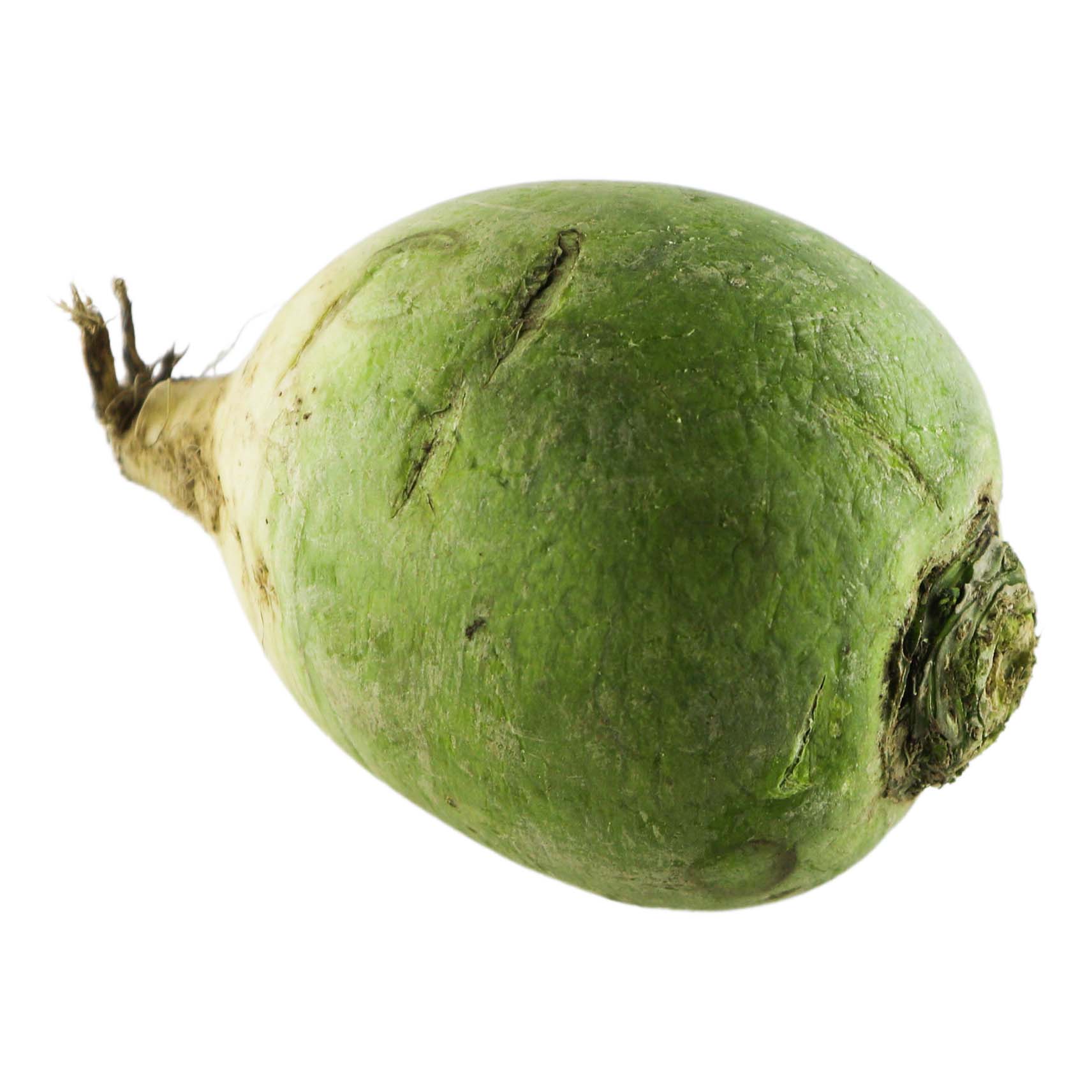 

Редька зеленая