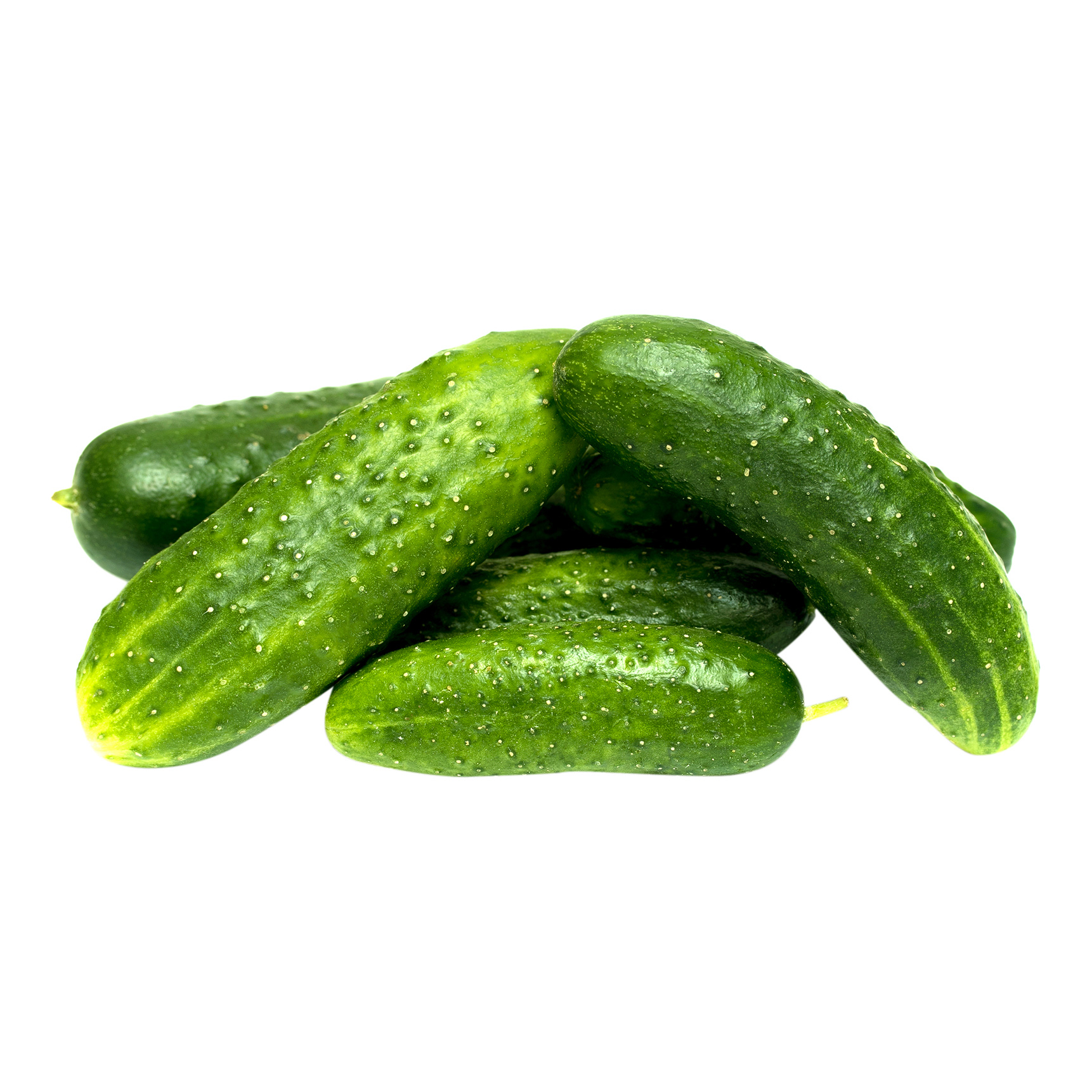 

Огурцы короткоплодные