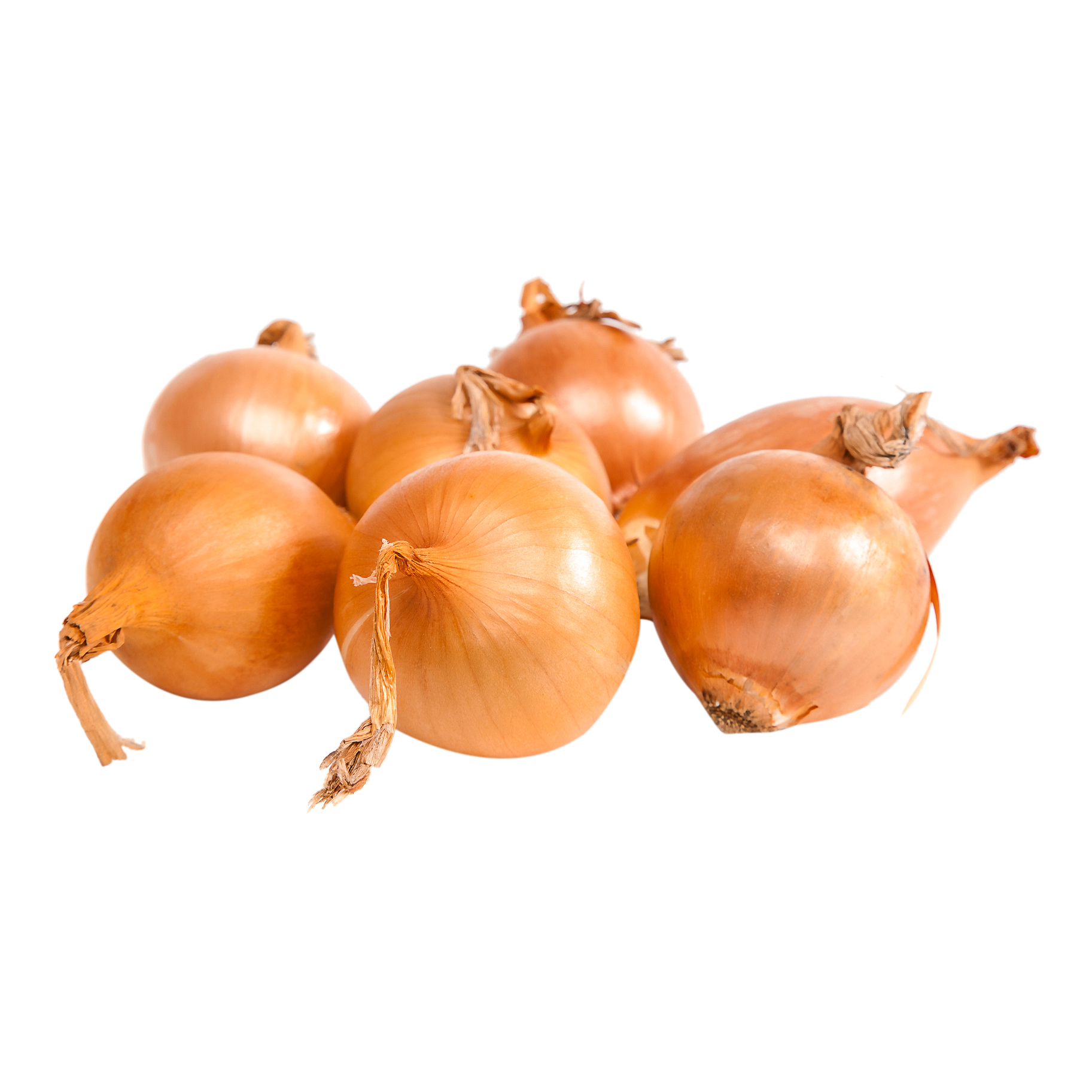 

Лук репчатый белый