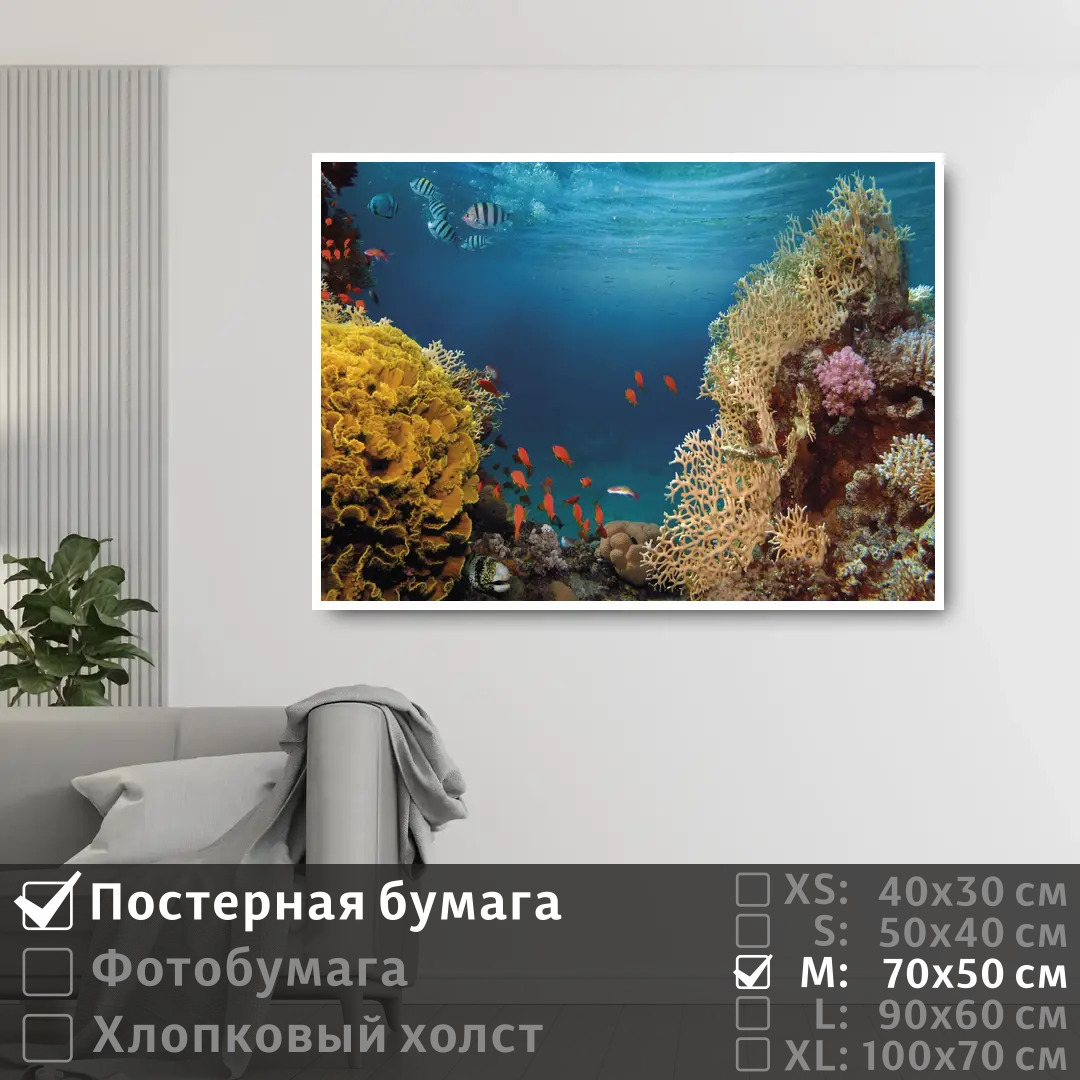 

Постер на стену ПолиЦентр Морские рыбки в коралловых рифах 70х50 см, МорскиеРыбкиВКоралловыхРифах