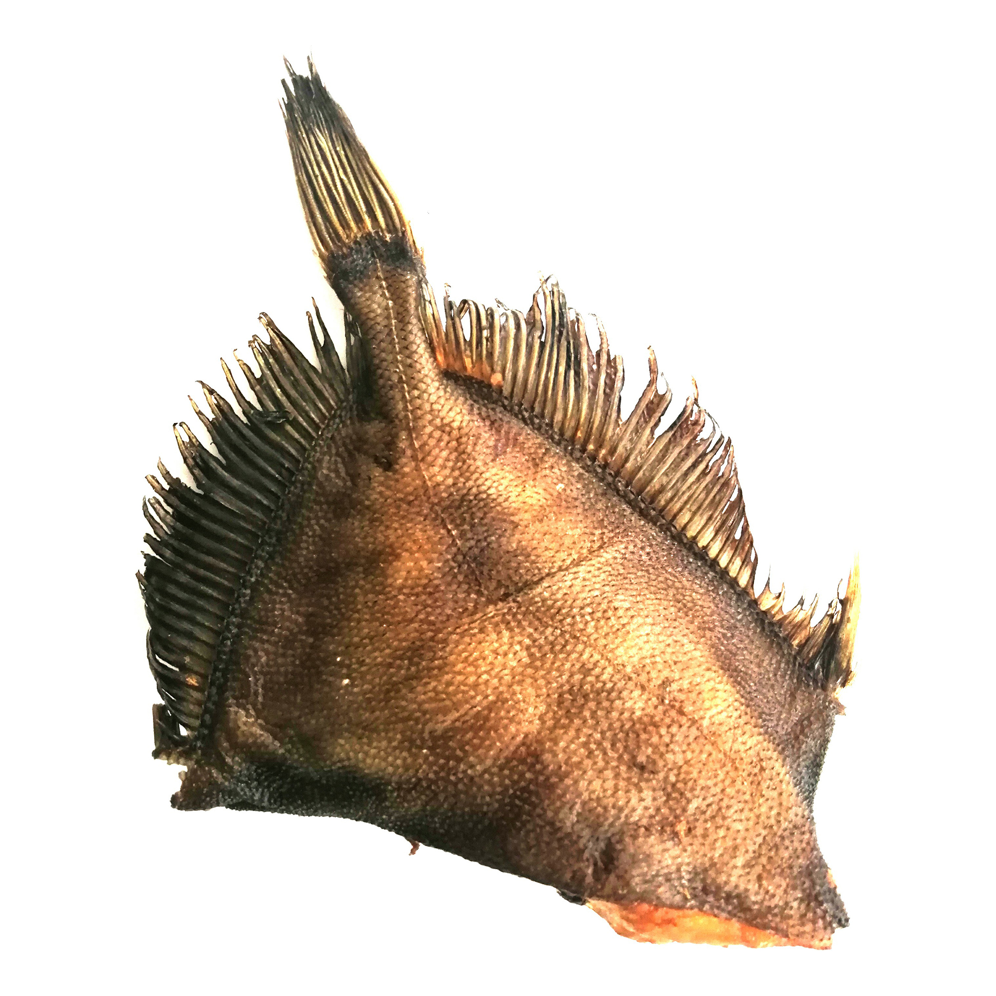 

Дори Балfish горячего копчения тушка без головы +-500 г