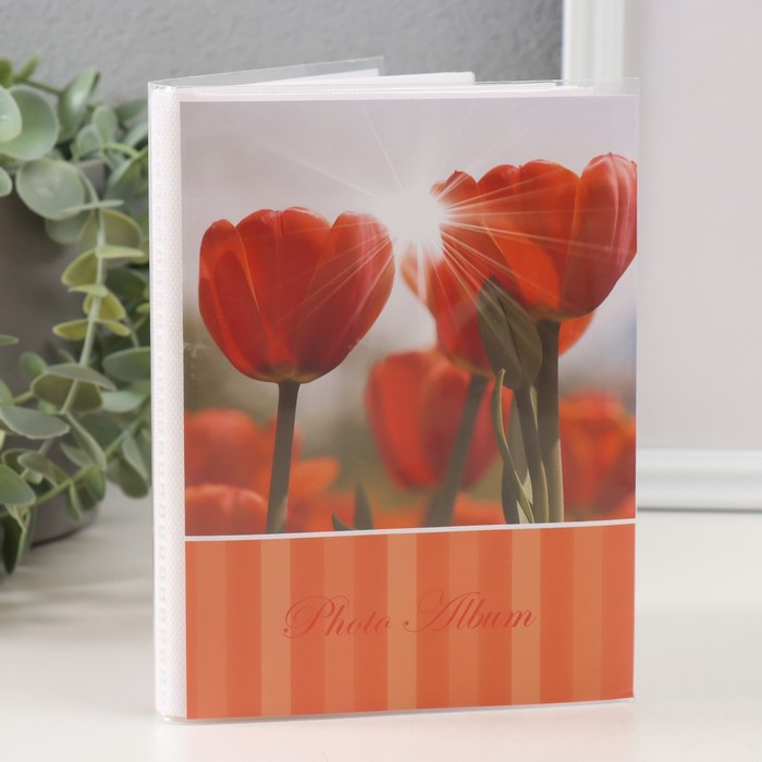 

Фотоальбом Ассорти на 36 фотографий Красный 10x15 см