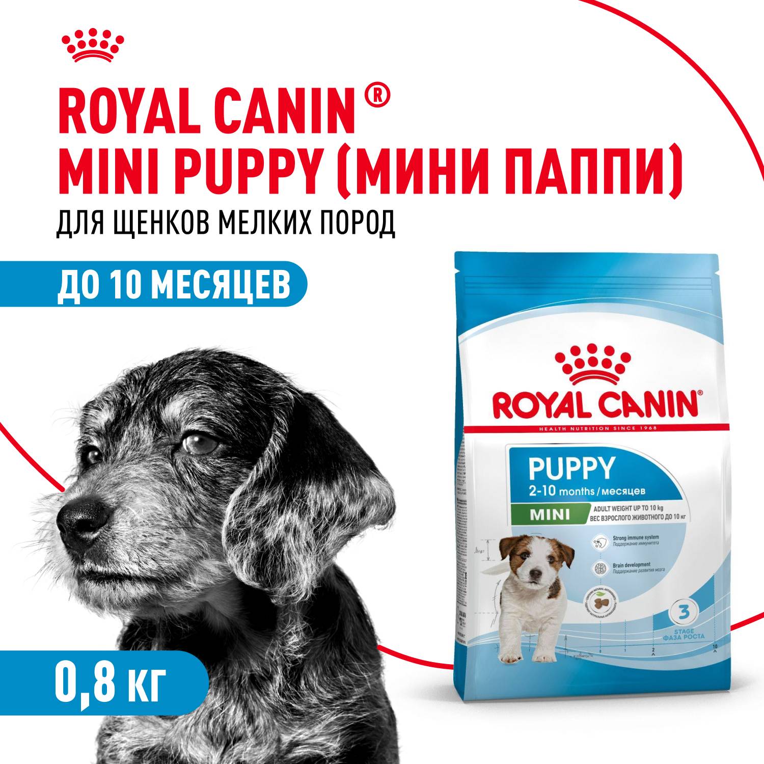 

Сухой корм для щенков ROYAL CANIN Junior Mini, птица, 0,8кг, Junior Mini