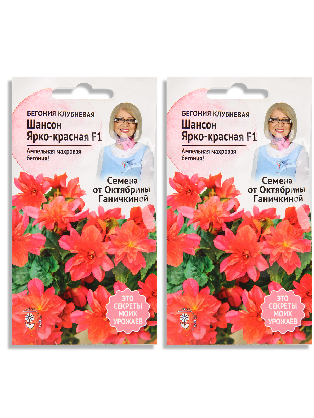 

Семена набор бегония Семена от Октябрины Ганичкиной Клубневая F1 N04101-AGS/N02669-2 2 уп., Клубневая Шансон Ярко-красная F1