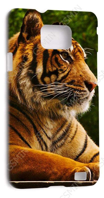 

Чехол-накладка для Samsung Galaxy S2 Plus (i9105) (Белый) (Дизайн 174)