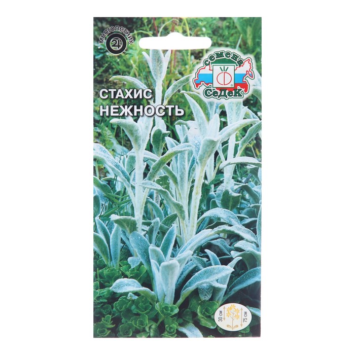 

Семена цветов Стахис "Нежность", 0,1 г (2 шт.)