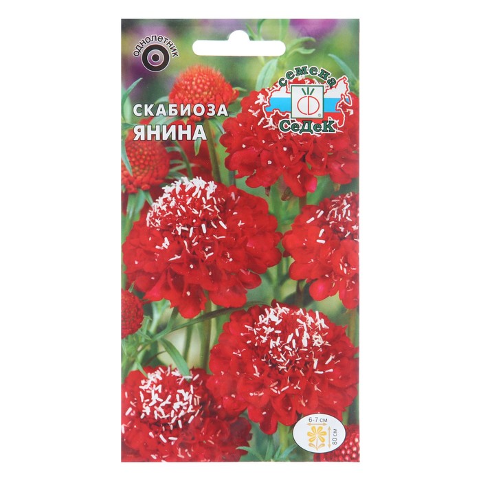 

Семена цветов Скабиоза" Янина", Евро, 0,1 г (2 шт.)