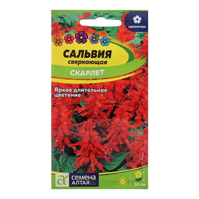 

Семена цветов Сальвия "Скарлет", сверкающая, Сем. Алт, ц/п, 0,1 г (2 шт)