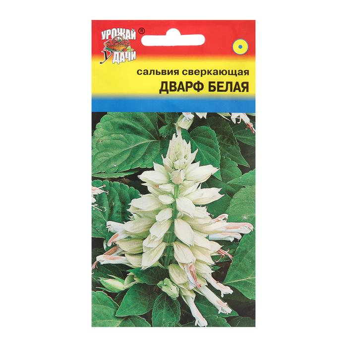 

Семена цветов Сальвия "Дварф", Белая, 0,03г (3 шт.)